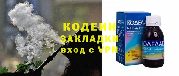 гидра Елабуга