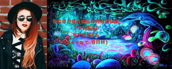 прущие крисы Елизово