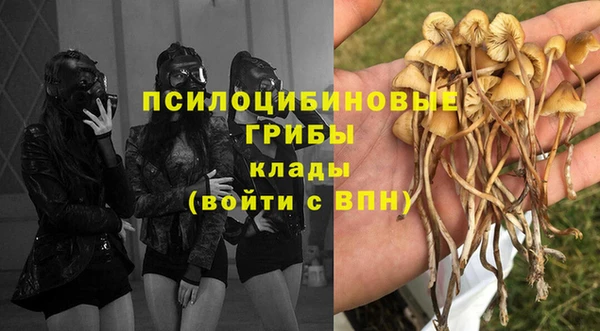 а пвп мука Ельня