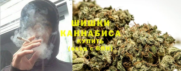 гидра Елабуга