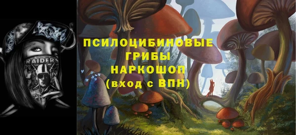 прущие крисы Елизово