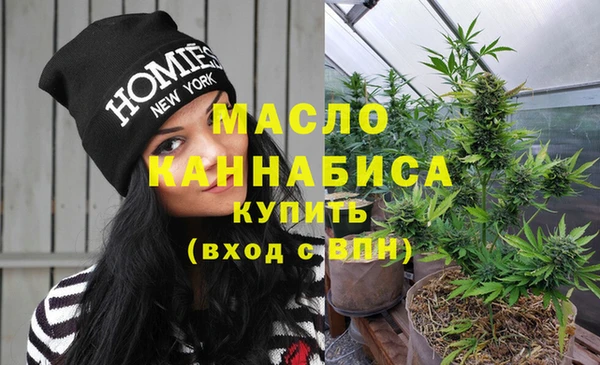 гидра Елабуга
