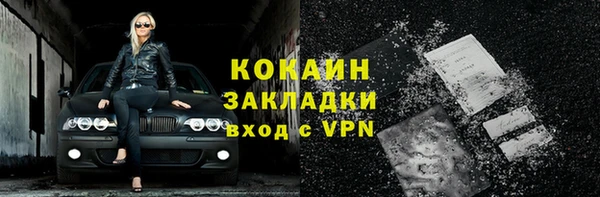 гидра Елабуга