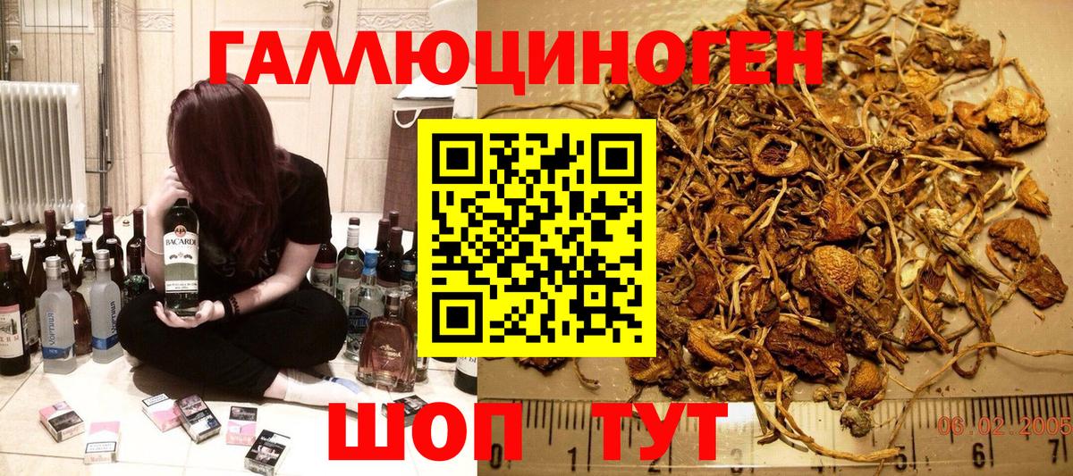 Галлюциногенные грибы MAGIC MUSHROOMS  Вход с VPN  Радужный 