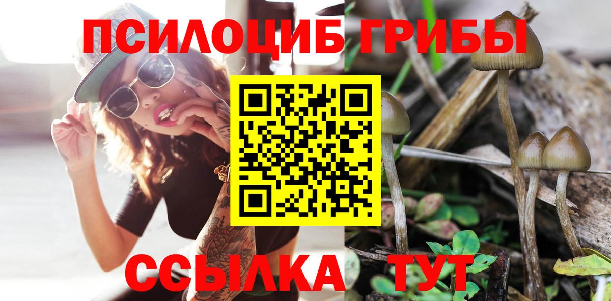 Псилоцибиновые грибы мухоморы Радужный